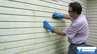 Mold Remediation