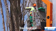 Tree Service