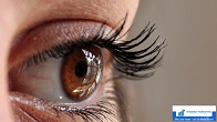 Beauty Shop - Eyelash Extensions