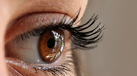 Beauty Shop - Eyelash Extensions
