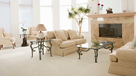Carpet Cleaning