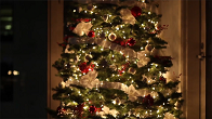 Christmas Light Installer