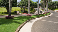 Curbing Company