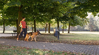 Dog Trainer
