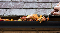 Gutter Cleaning
