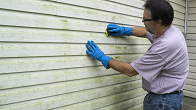 Mold Remediation