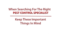 Pest Control Company