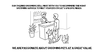 Pet Grooming