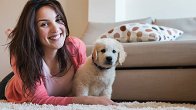 Pet Sitting