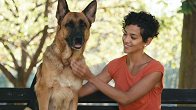Animal Training Services